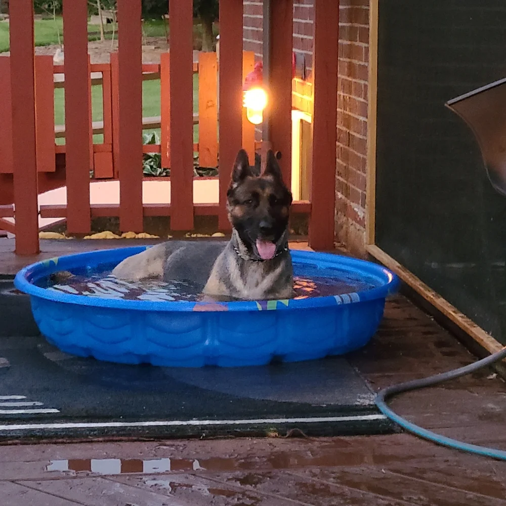 Meet your Posher, Sadies - Picture 4 of 6